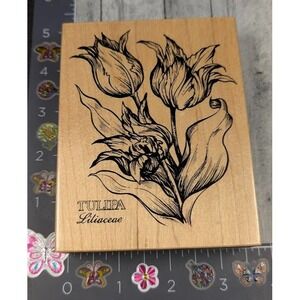 PSX Designs Tulipa K622 1993 Flowers Rubber Stamp Wood #E27